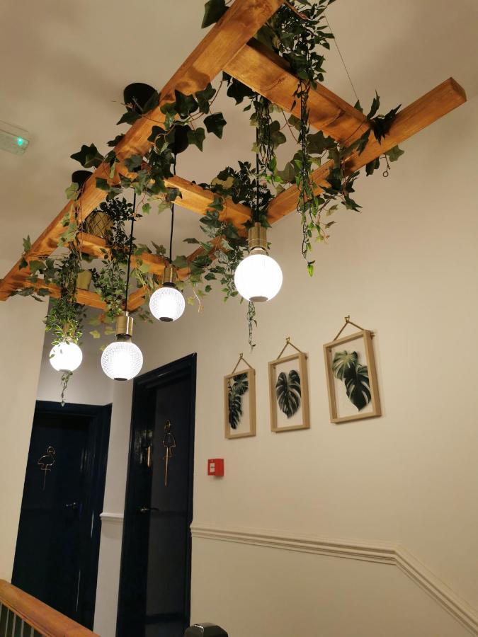 Flamingo Lodge Torquay Eksteriør bilde